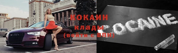 мдпв Протвино