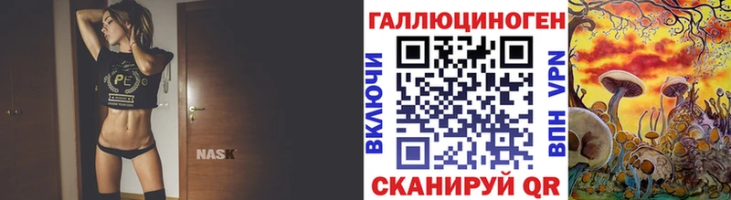 darknet как зайти  Весьегонск  Псилоцибиновые грибы Psilocybe 